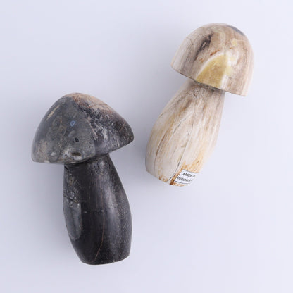 Petrified Wood Mushrooms Set of 4 - Expert Wholesale and Supplier of Wholesale Crystals & Bulk Gemstones, ["Indonesia","Mushrooms","Petrified Wood"]