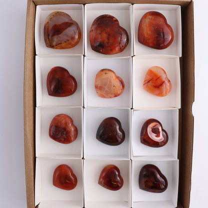 Carnelian Hearts Set of 12 - Expert Wholesale and Supplier of Wholesale Crystals & Bulk Gemstones, ["carnelian","Hearts","Madagascar"]