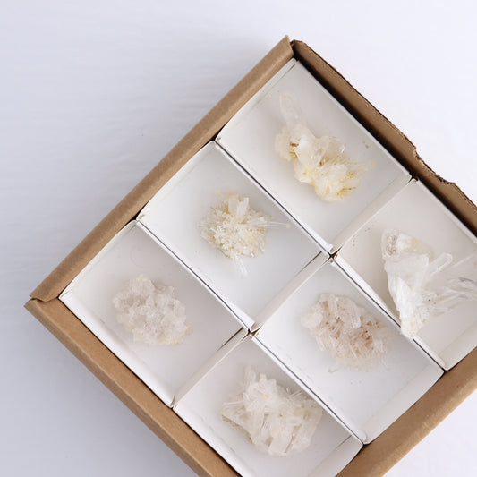 Lemurian Clusters from Columbia Set of 6