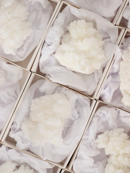 Aragonite Clusters Flat - Expert Wholesale and Supplier of Wholesale Crystals & Bulk Gemstones, []