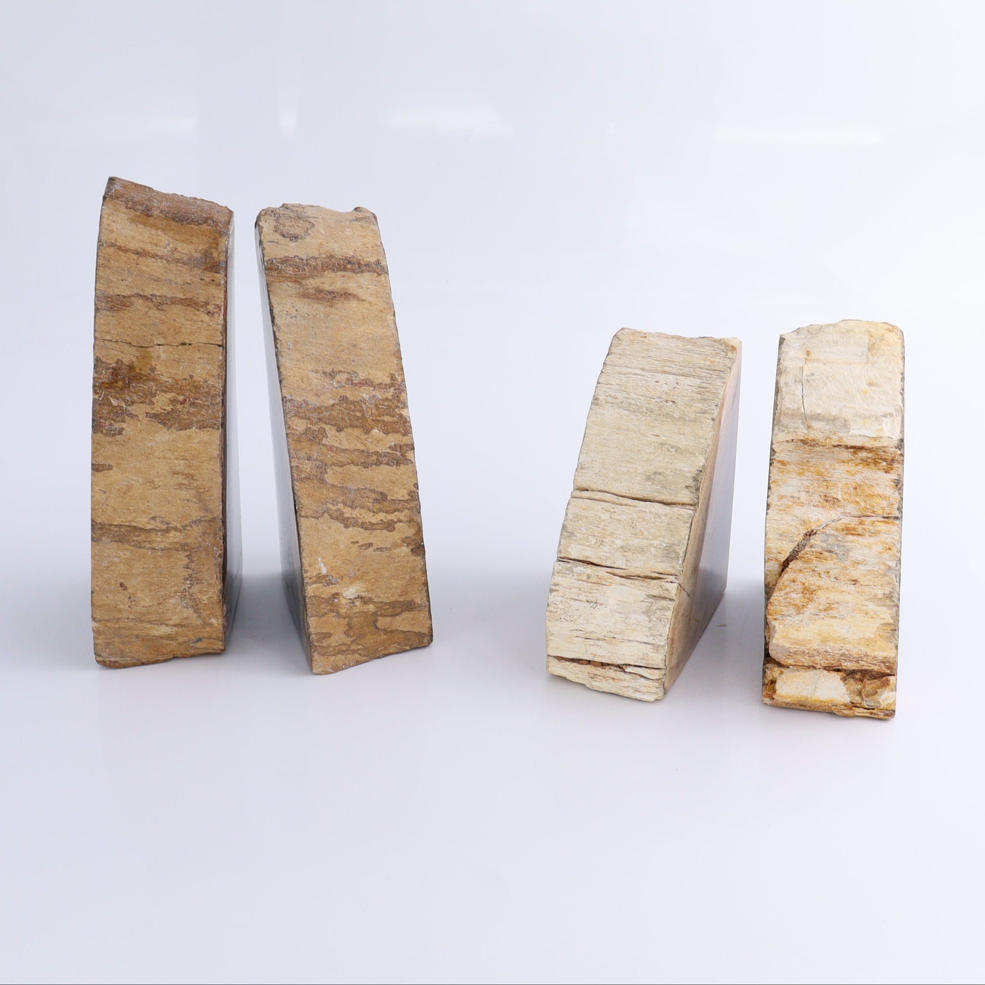 One Pair of Black Petrified Wood Bookends - Expert Wholesale and Supplier of Wholesale Crystals & Bulk Gemstones, ["Bookends","Indonesia","Petrified Wood"]