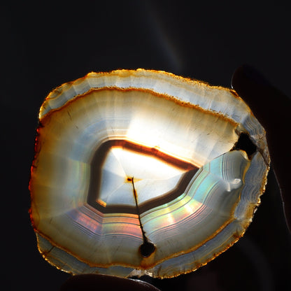 Iris Agate Slices Set of 6 - Expert Wholesale and Supplier of Wholesale Crystals & Bulk Gemstones, ["Agate","Iris Agate","Slices and Slabs"]