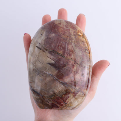 Petrified Wood Freeforms Set of 2 - Expert Wholesale and Supplier of Wholesale Crystals & Bulk Gemstones, ["Freeform","Freeforms","Madagascar","Petrified Wood"]