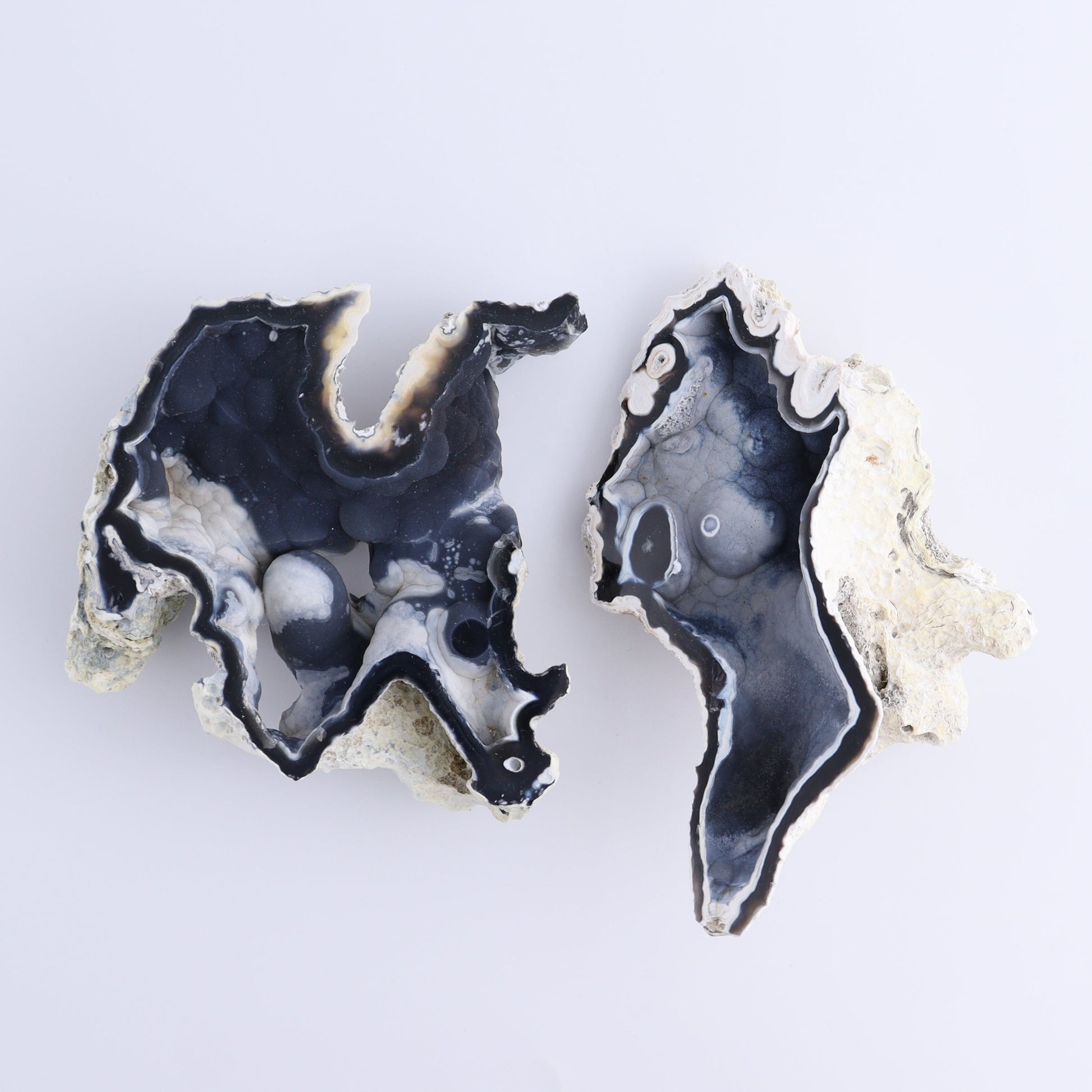 Agatized Coral Flat - Expert Wholesale and Supplier of Wholesale Crystals & Bulk Gemstones, ["Agate","Agatized Coral","Coral","United States"]