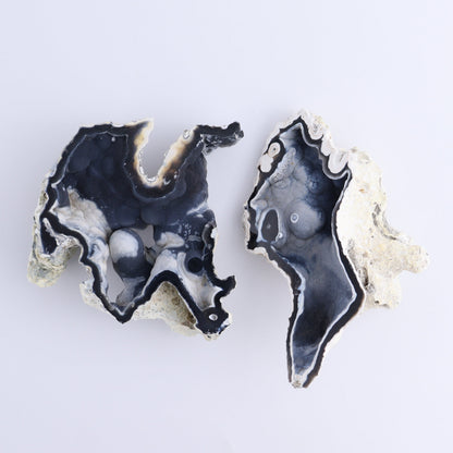 Agatized Coral Flat - Expert Wholesale and Supplier of Wholesale Crystals & Bulk Gemstones, ["Agate","Agatized Coral","Coral","United States"]