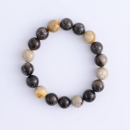 Petrified Wood Bracelet Set of 4