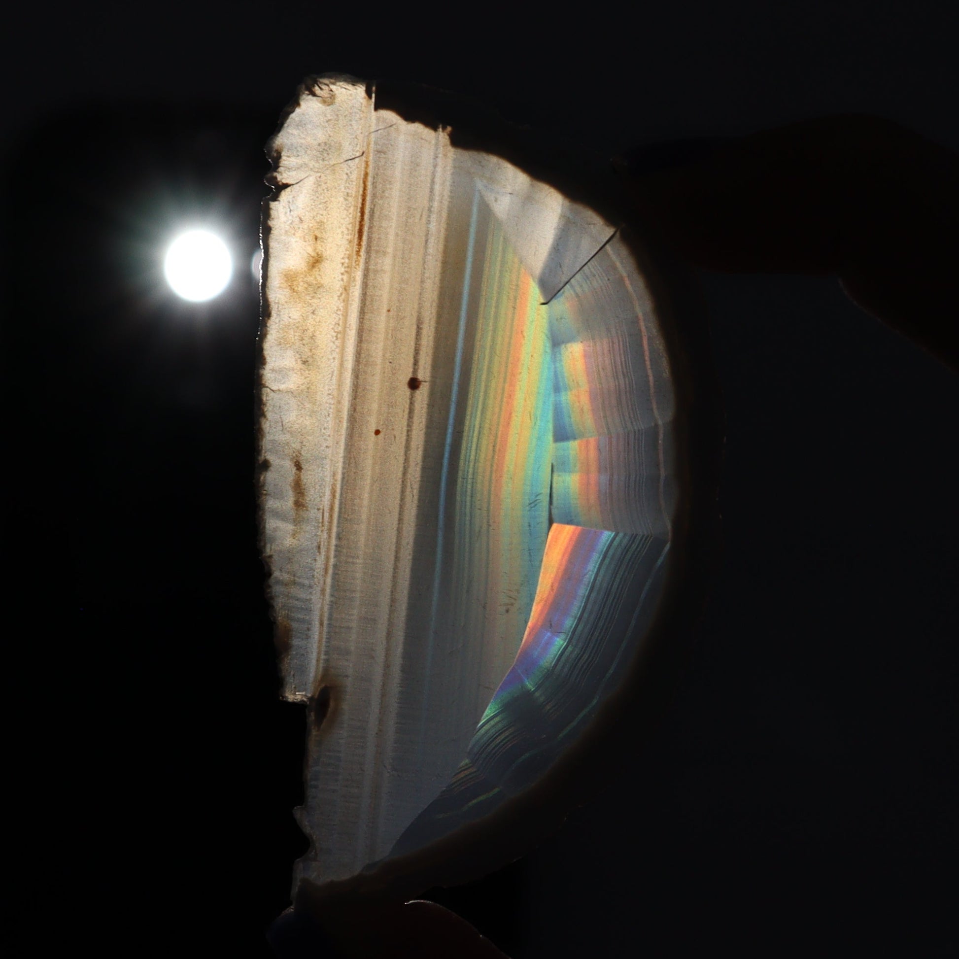 Iris Agate Slices Set of 10 - Expert Wholesale and Supplier of Wholesale Crystals & Bulk Gemstones, ["Agate","Iris Agate","Slices and Slabs"]