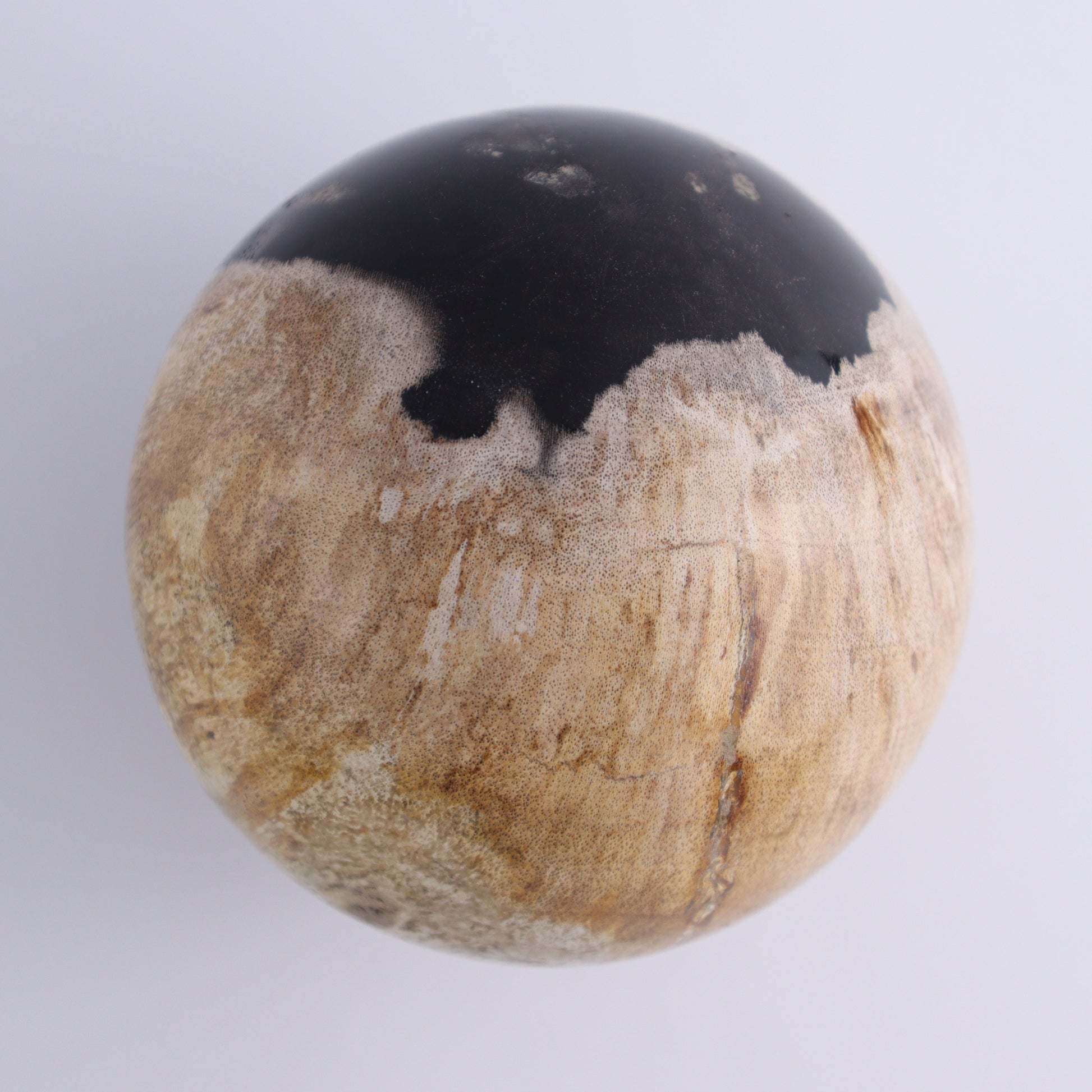 Petrified Wood Spheres Set of 2 - Expert Wholesale and Supplier of Wholesale Crystals & Bulk Gemstones, ["Indonesia","Petrified Wood","Spheres"]
