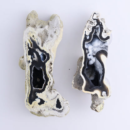 Agatized Coral Flat - Expert Wholesale and Supplier of Wholesale Crystals & Bulk Gemstones, ["Agate","Agatized Coral","Coral","United States"]