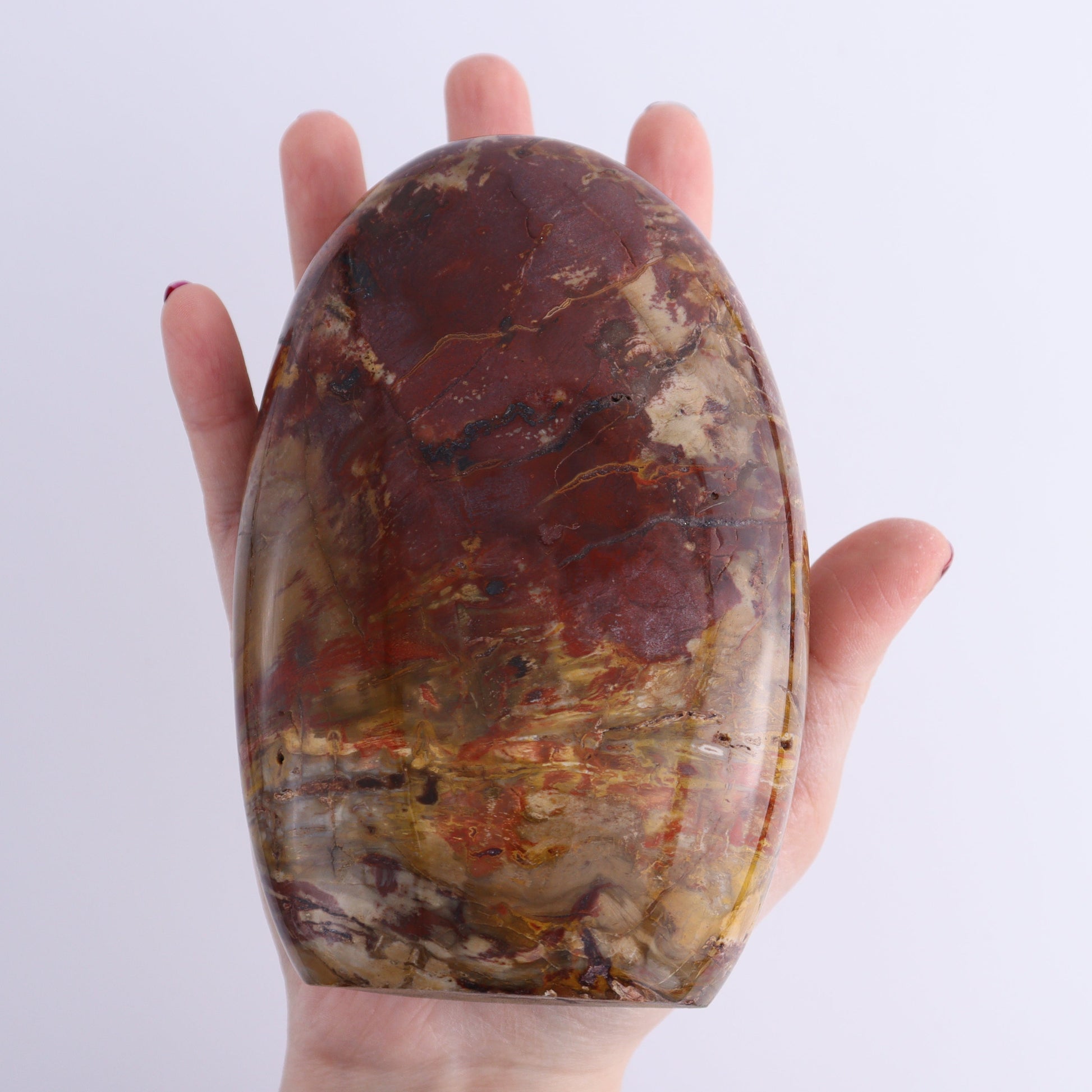 Petrified Wood Freeforms Set of 2 - Expert Wholesale and Supplier of Wholesale Crystals & Bulk Gemstones, ["Freeform","Freeforms","Madagascar","Petrified Wood"]