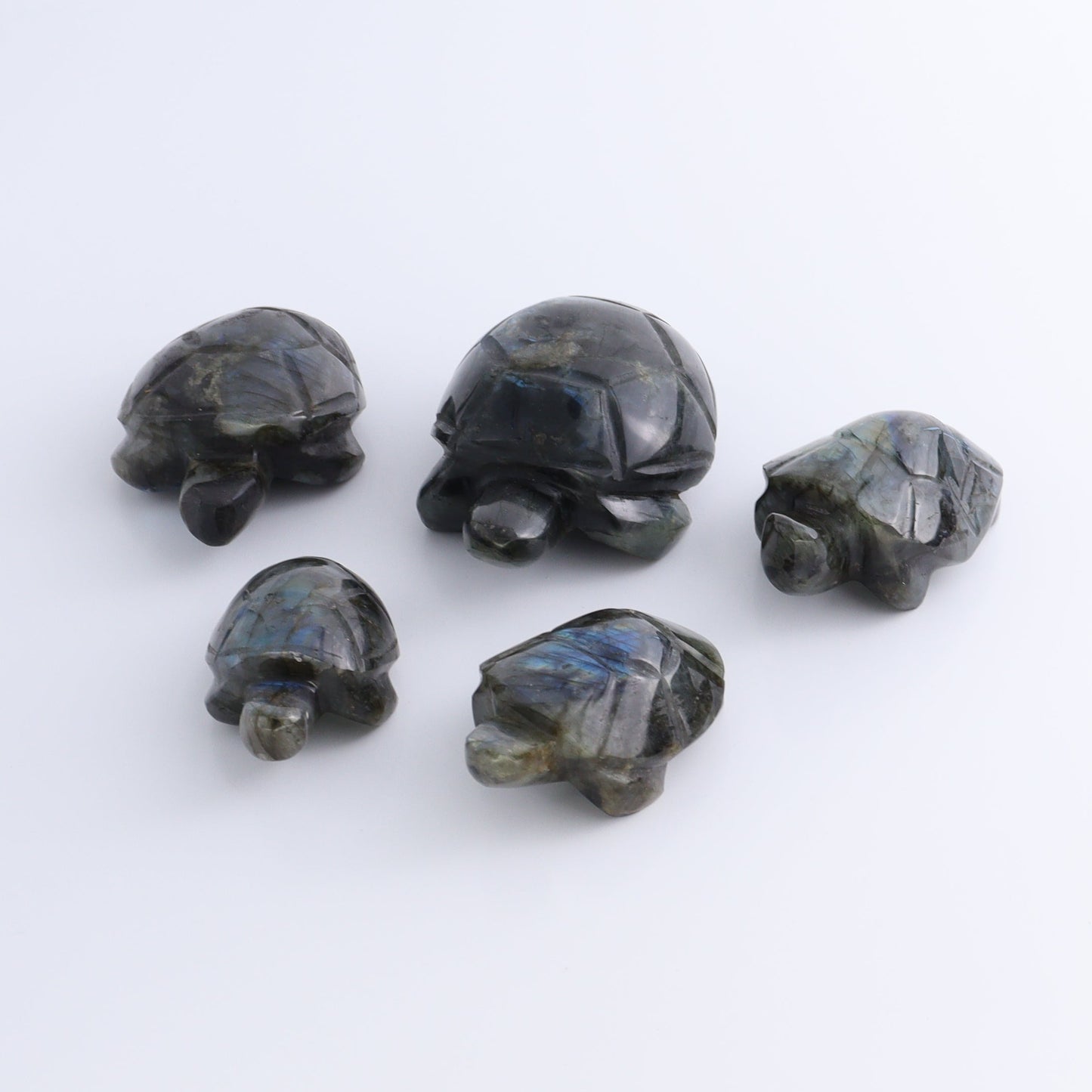 Labradorite Turtles Set of 5