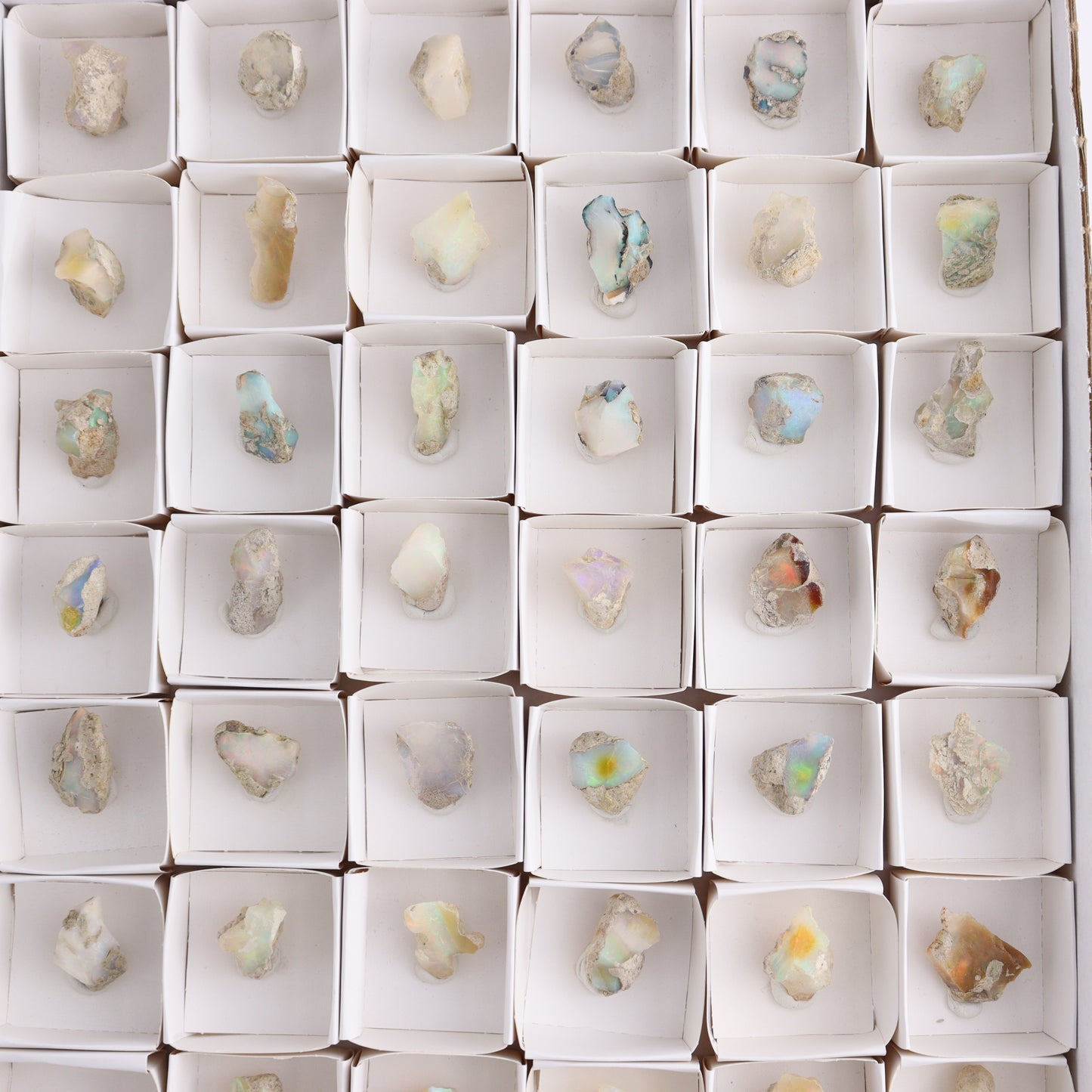 Ethiopian Opal Set of 54 - Expert Wholesale and Supplier of Wholesale Crystals & Bulk Gemstones, ["Ethiopia","ethiopian opal","Opal"]
