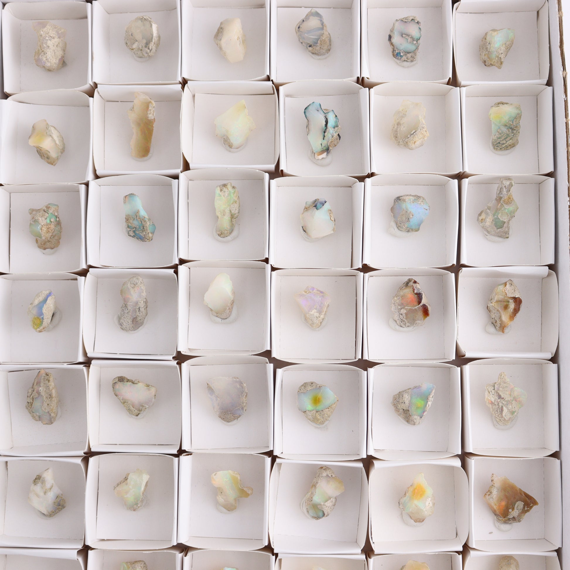 Ethiopian Opal Set of 54 - Expert Wholesale and Supplier of Wholesale Crystals & Bulk Gemstones, ["Ethiopia","ethiopian opal","Opal"]