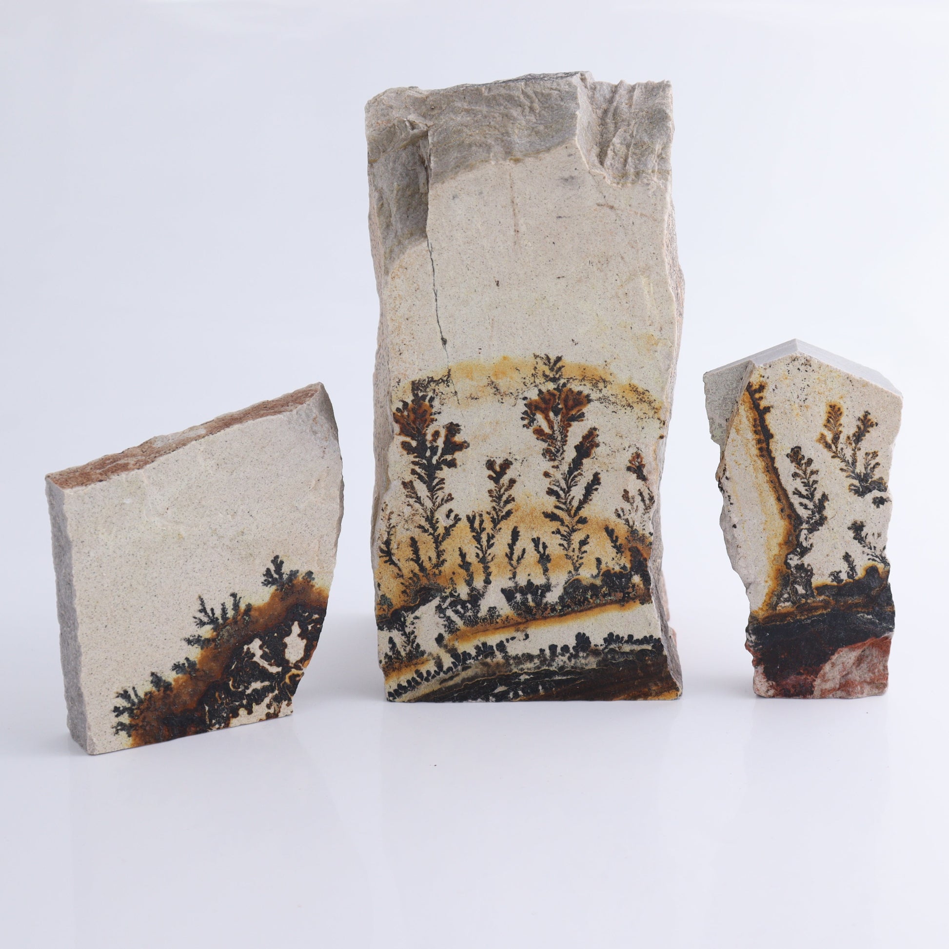 Dendrites Flat Set of 6 - Expert Wholesale and Supplier of Wholesale Crystals & Bulk Gemstones, ["Dendrite","Flats"]