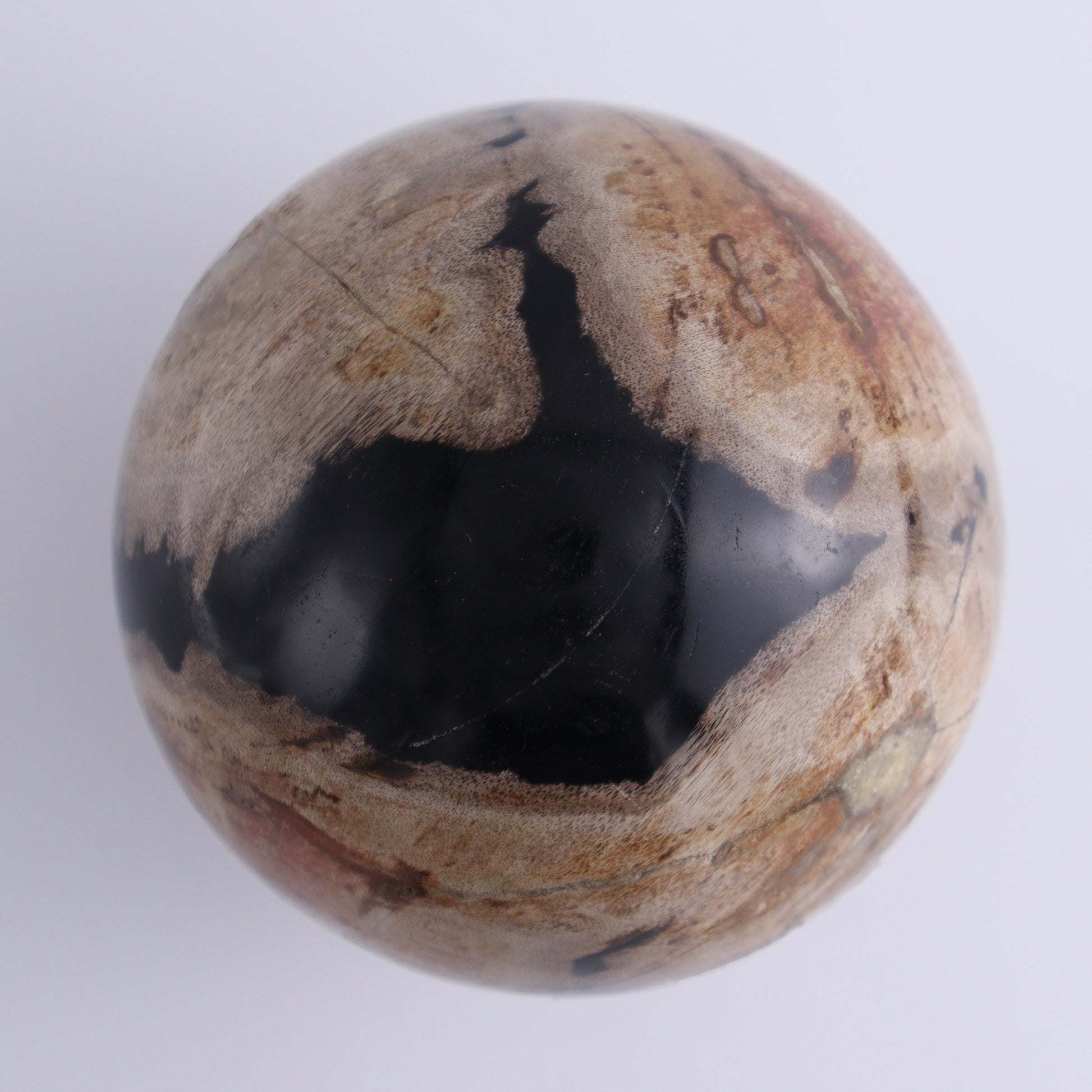 Petrified Wood Spheres Set of 2 - Expert Wholesale and Supplier of Wholesale Crystals & Bulk Gemstones, ["Indonesia","Petrified Wood","Spheres"]