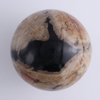 Petrified Wood Spheres Set of 2 - Expert Wholesale and Supplier of Wholesale Crystals & Bulk Gemstones, ["Indonesia","Petrified Wood","Spheres"]