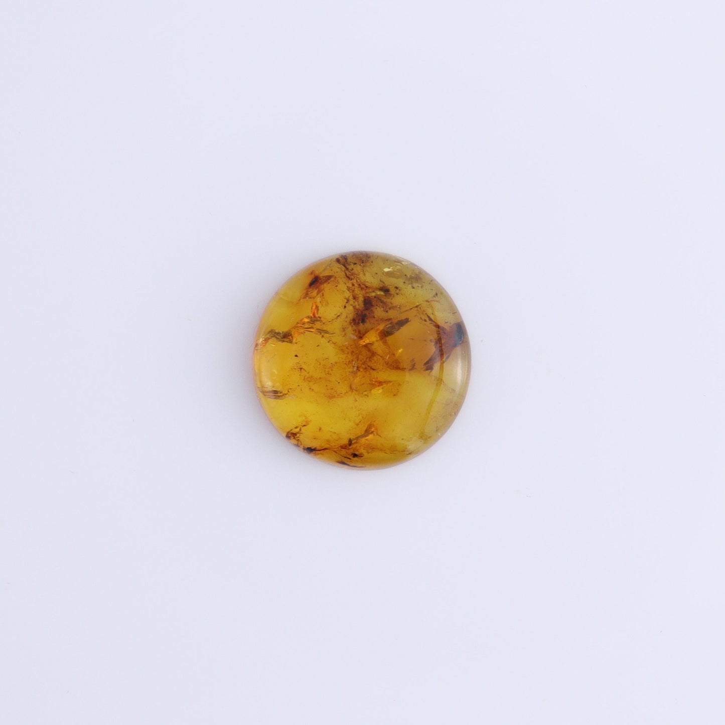 Chiapas Mexico Amber Cabs Set of 5 - Expert Wholesale and Supplier of Wholesale Crystals & Bulk Gemstones, ["Amber","Cabs","Chiapas Amber","Mexico"]