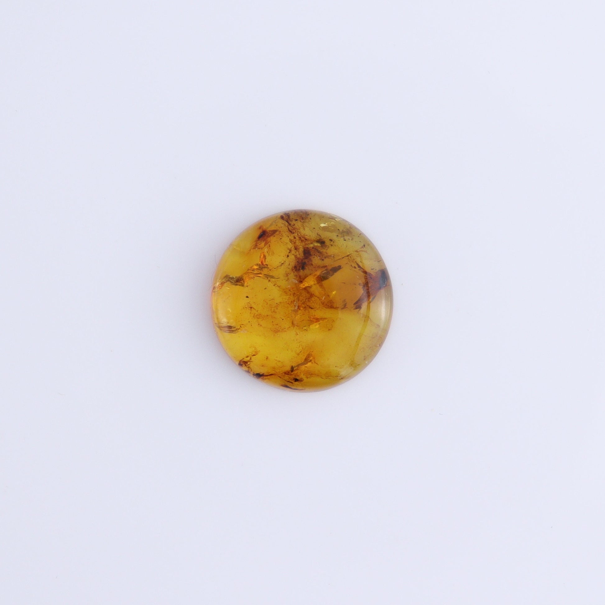 Chiapas Mexico Amber Cabs Set of 5 - Expert Wholesale and Supplier of Wholesale Crystals & Bulk Gemstones, ["Amber","Cabs","Chiapas Amber","Mexico"]