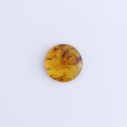 Chiapas Mexico Amber Cabs Set of 5 - Expert Wholesale and Supplier of Wholesale Crystals & Bulk Gemstones, ["Amber","Cabs","Chiapas Amber","Mexico"]