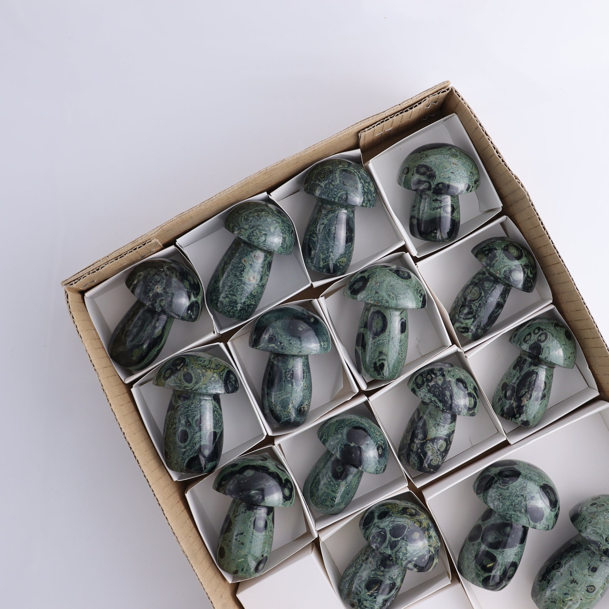 Kambaba Jasper Mushrooms Flat of 15 - Expert Wholesale and Supplier of Wholesale Crystals & Bulk Gemstones, ["Kambaba Jasper","Madagascar","Mushrooms"]