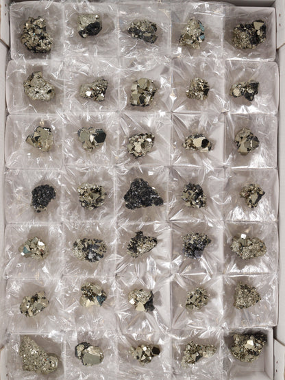 Pyrite Flat Set of 35