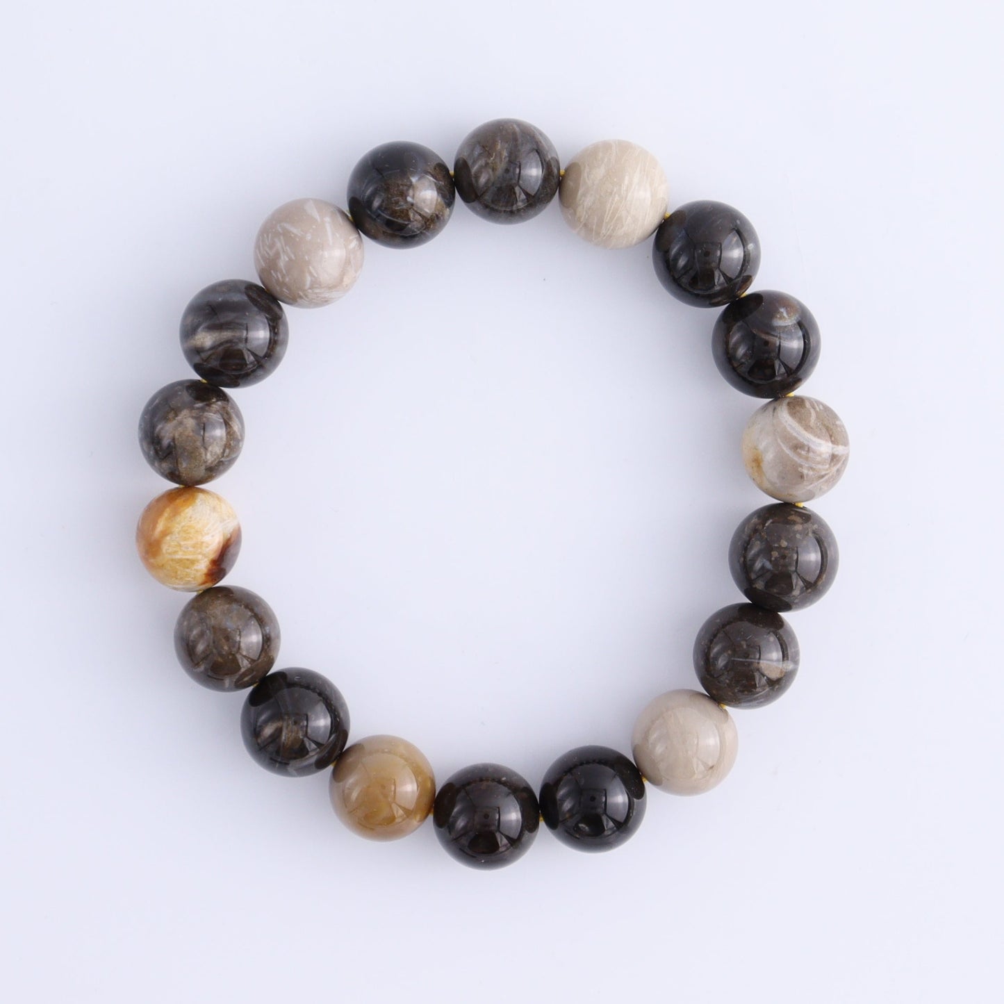 Petrified Wood Bracelet Set of 4