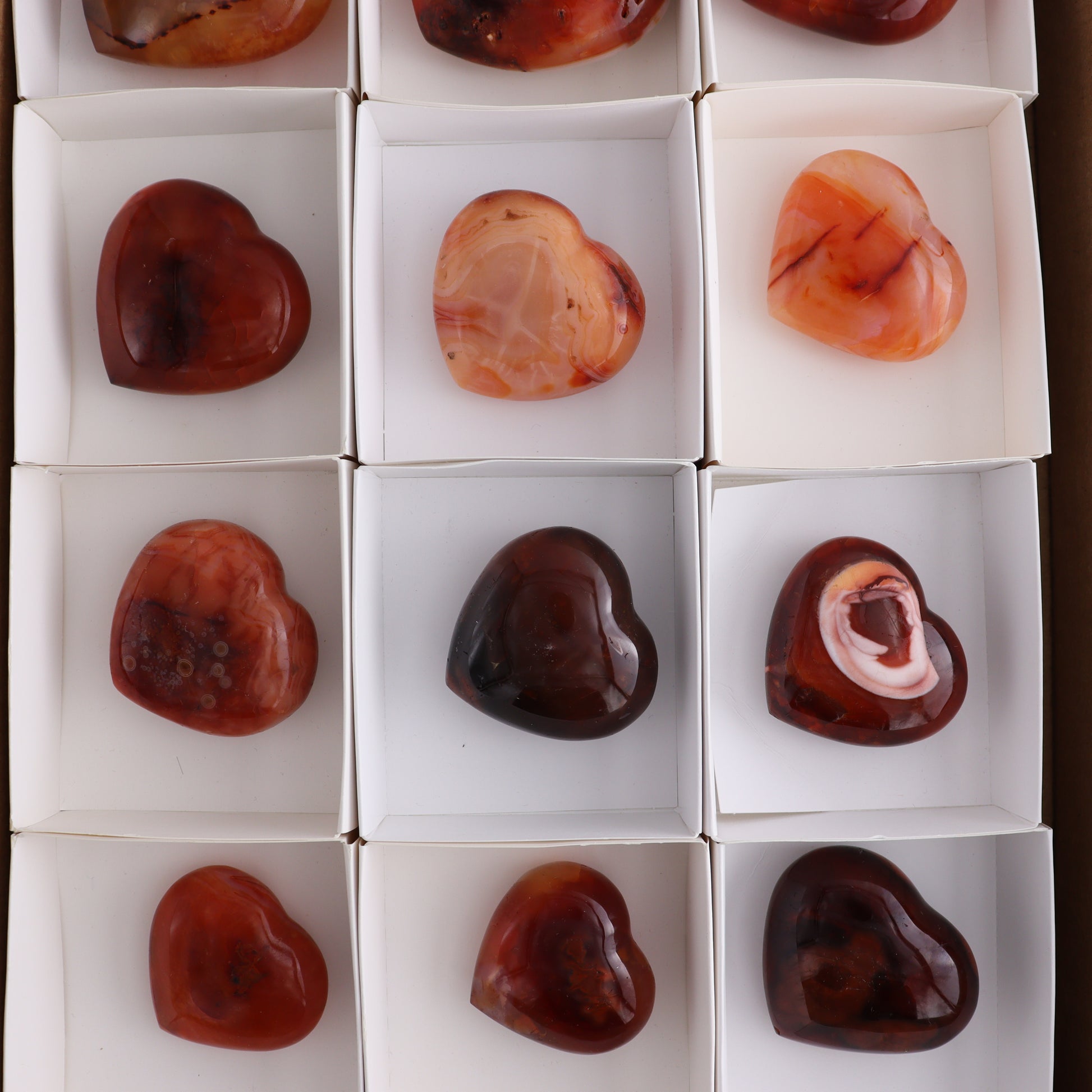 Carnelian Hearts Set of 12 - Expert Wholesale and Supplier of Wholesale Crystals & Bulk Gemstones, ["carnelian","Hearts","Madagascar"]