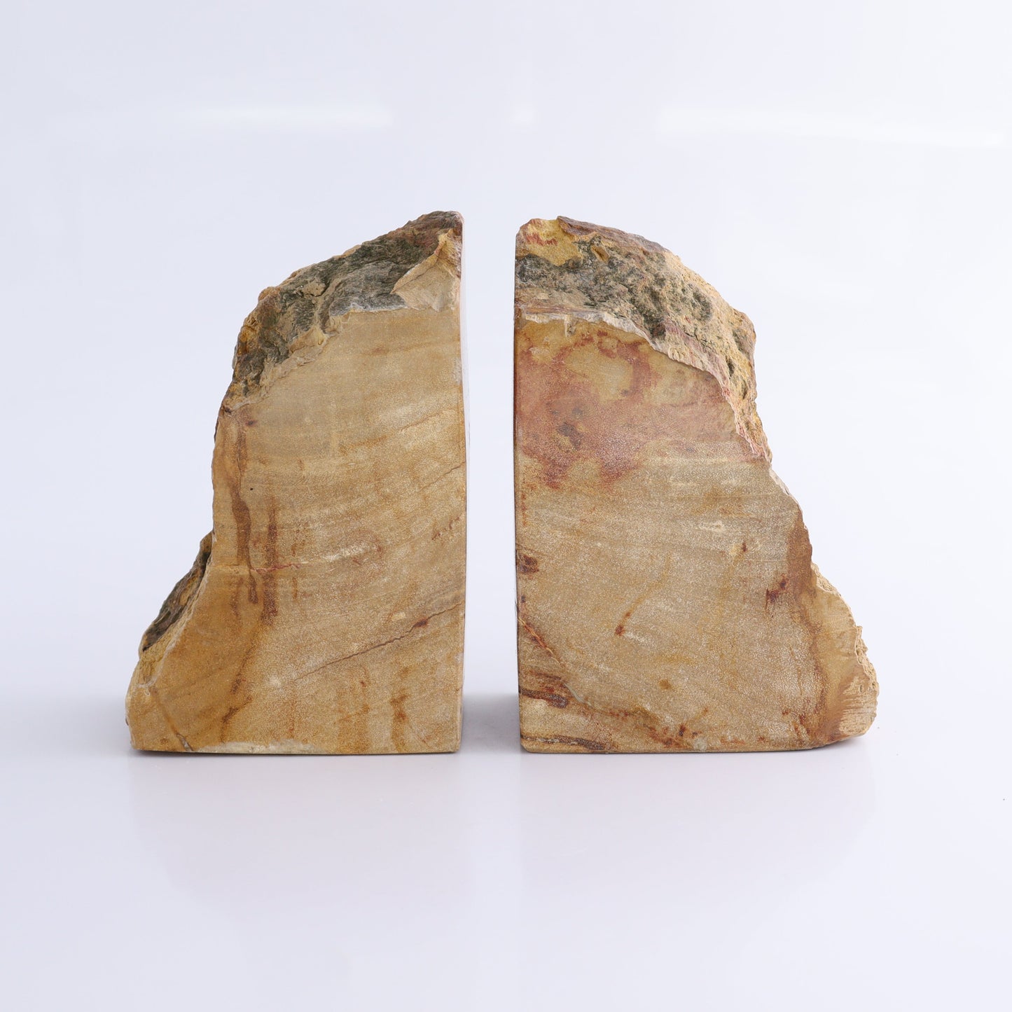 One Pair of Yellow/Brown Petrified Wood Bookends - Expert Wholesale and Supplier of Wholesale Crystals & Bulk Gemstones, ["Bookends","Indonesia","Petrified Wood"]