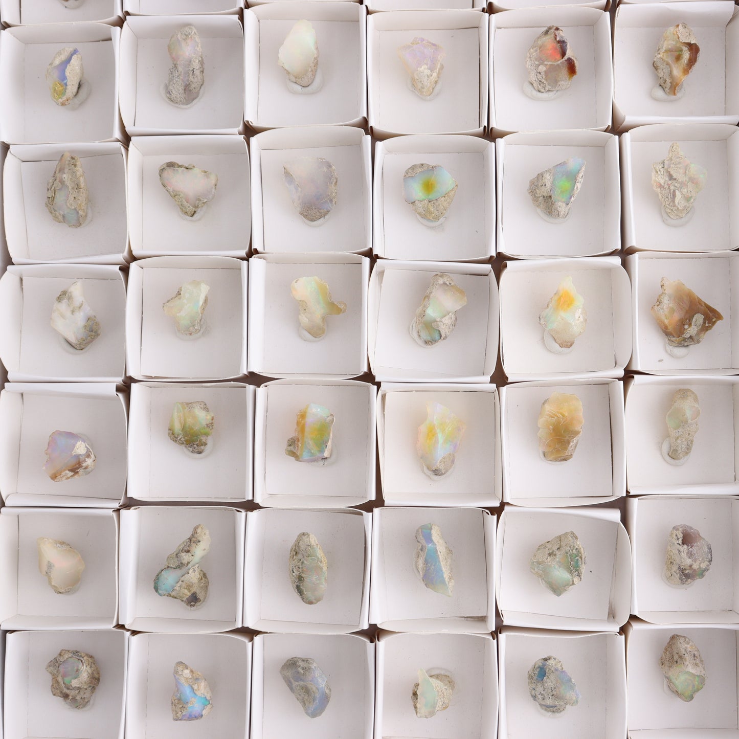 Ethiopian Opal Set of 54 - Expert Wholesale and Supplier of Wholesale Crystals & Bulk Gemstones, ["Ethiopia","ethiopian opal","Opal"]