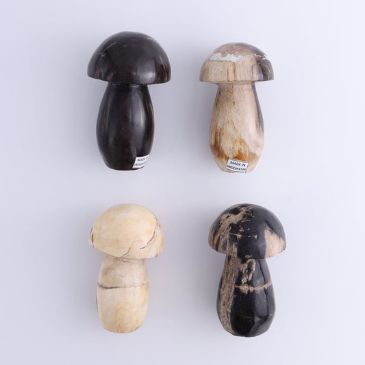 Petrified Wood Mushrooms Set of 4