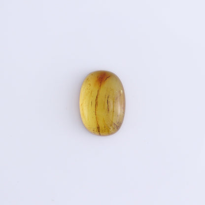 Chiapas Mexico Amber Cabs Set of 5 - Expert Wholesale and Supplier of Wholesale Crystals & Bulk Gemstones, ["Amber","Cabs","Chiapas Amber","Mexico"]