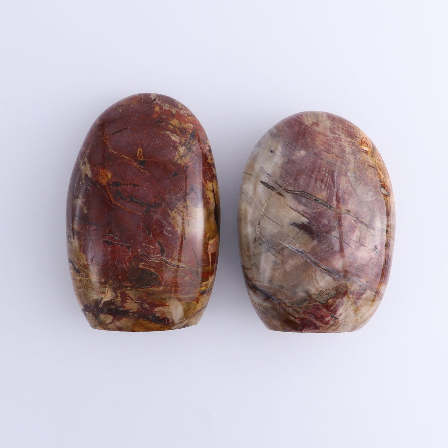 Petrified Wood Freeforms Set of 2 - Expert Wholesale and Supplier of Wholesale Crystals & Bulk Gemstones, ["Freeform","Freeforms","Madagascar","Petrified Wood"]