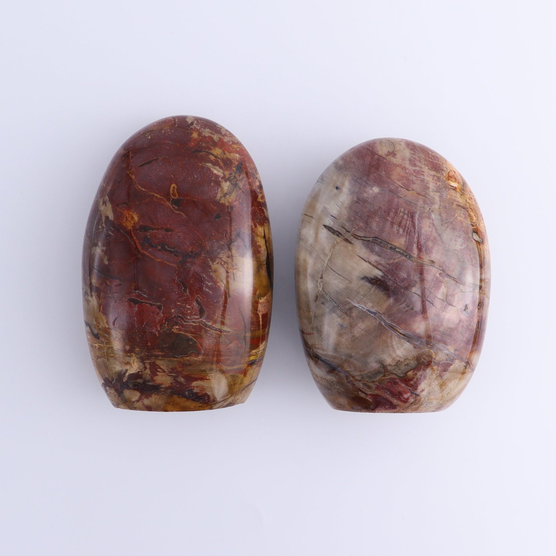 Petrified Wood Freeforms Set of 2 - Expert Wholesale and Supplier of Wholesale Crystals & Bulk Gemstones, ["Freeform","Freeforms","Madagascar","Petrified Wood"]