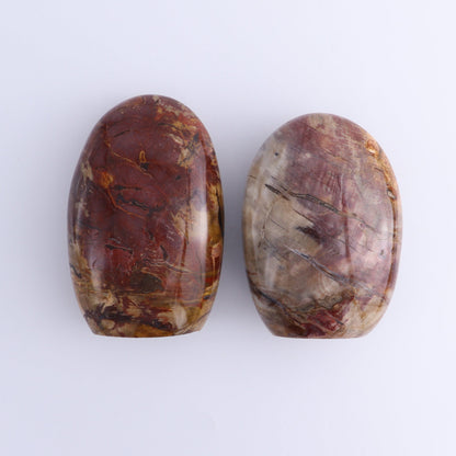 Petrified Wood Freeforms Set of 2 - Expert Wholesale and Supplier of Wholesale Crystals & Bulk Gemstones, ["Freeform","Freeforms","Madagascar","Petrified Wood"]