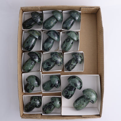 Kambaba Jasper Mushrooms Flat of 15 - Expert Wholesale and Supplier of Wholesale Crystals & Bulk Gemstones, ["Kambaba Jasper","Madagascar","Mushrooms"]