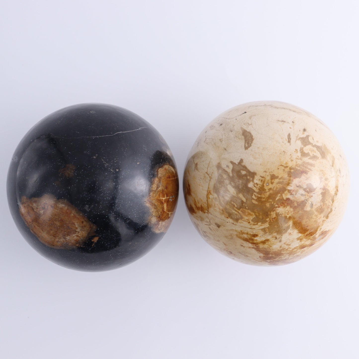 Petrified Wood Spheres Set of 2 - Expert Wholesale and Supplier of Wholesale Crystals & Bulk Gemstones, ["Indonesia","Petrified Wood","Spheres"]