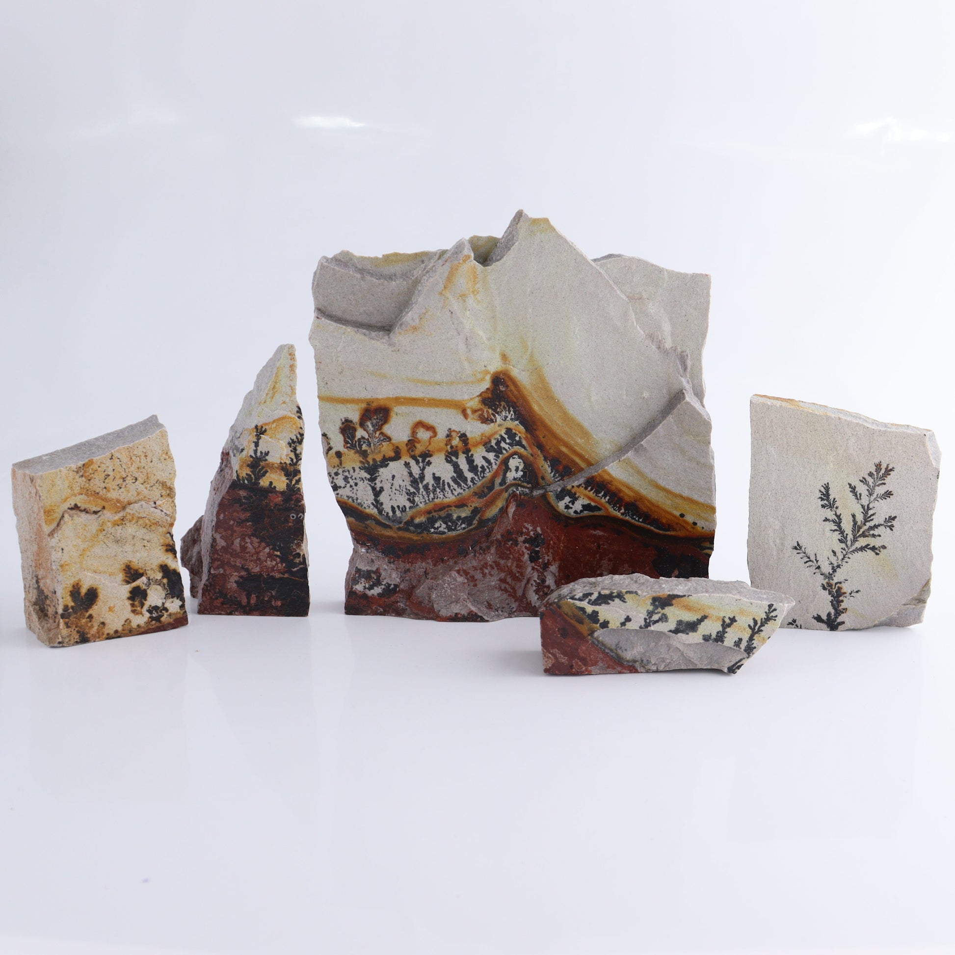 Dendrites Flat Set of 5 - Expert Wholesale and Supplier of Wholesale Crystals & Bulk Gemstones, ["Dendrite","Flats"]