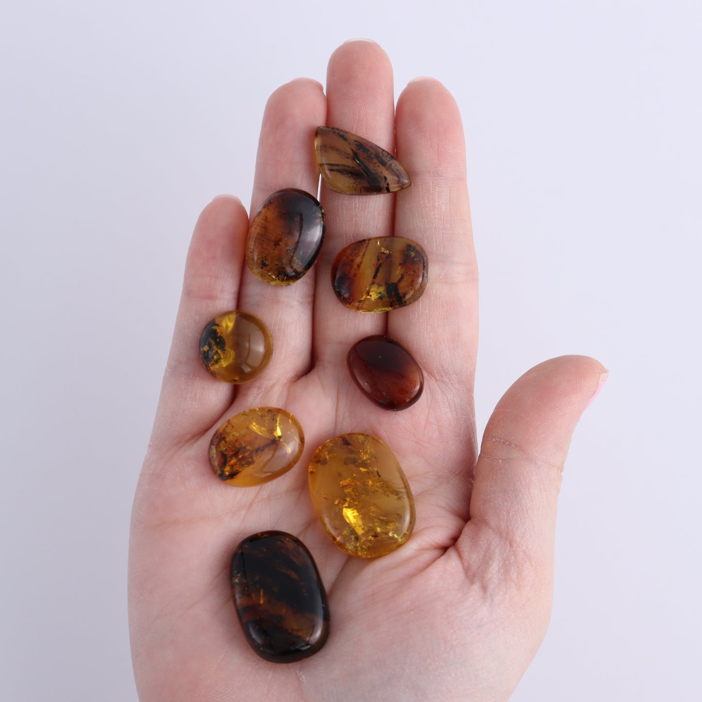 Chiapas Mexico Amber Cabs Set of 8 - Expert Wholesale and Supplier of Wholesale Crystals & Bulk Gemstones, ["Amber","Cabs","Chiapas Amber","Mexico"]