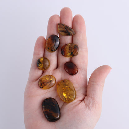 Chiapas Mexico Amber Cabs Set of 8 - Expert Wholesale and Supplier of Wholesale Crystals & Bulk Gemstones, ["Amber","Cabs","Chiapas Amber","Mexico"]