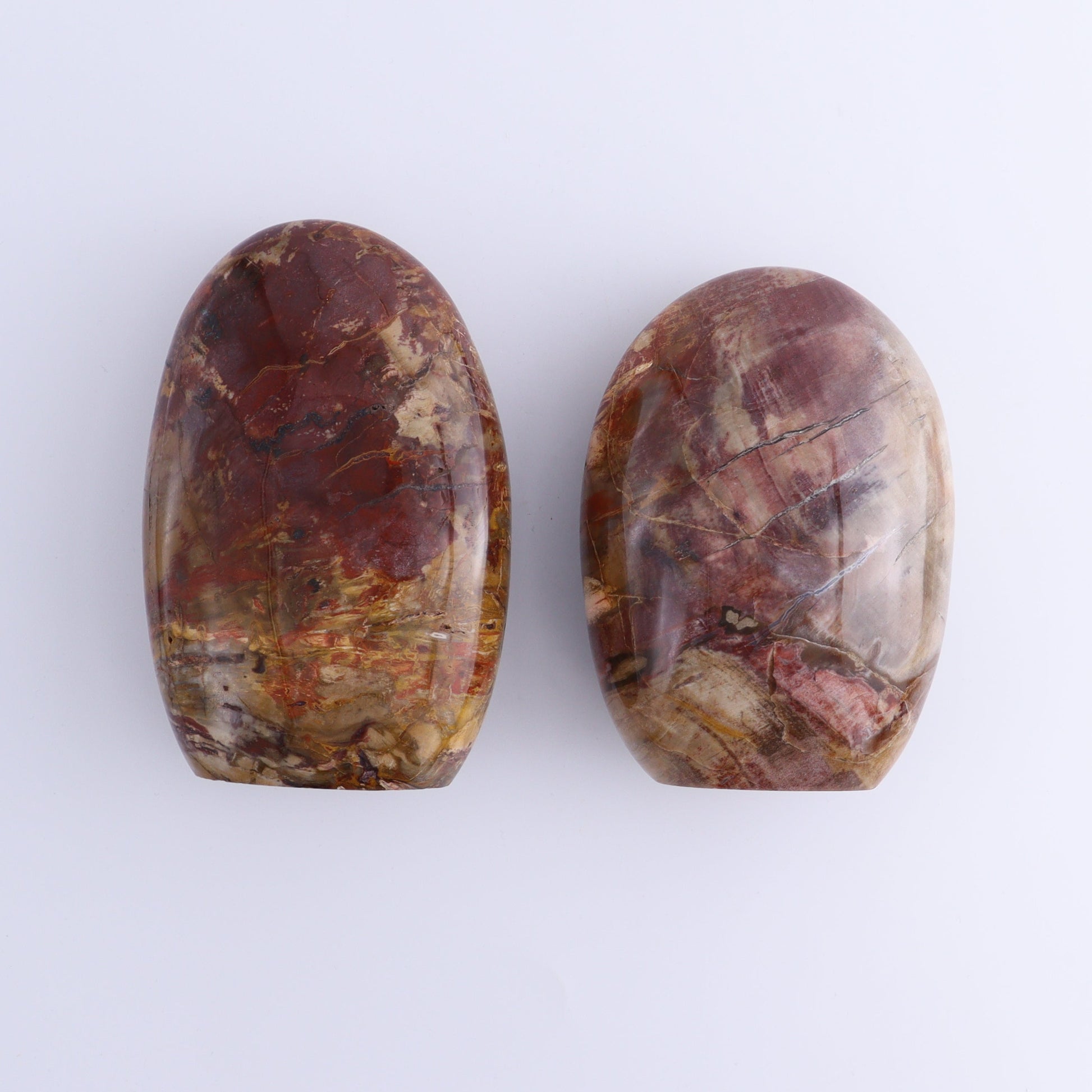 Petrified Wood Freeforms Set of 2 - Expert Wholesale and Supplier of Wholesale Crystals & Bulk Gemstones, ["Freeform","Freeforms","Madagascar","Petrified Wood"]