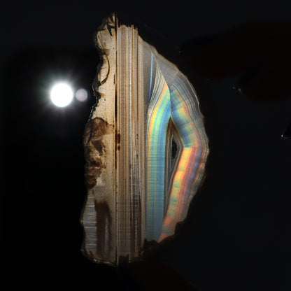 Iris Agate Slices Set of 10 - Expert Wholesale and Supplier of Wholesale Crystals & Bulk Gemstones, ["Agate","Iris Agate","Slices and Slabs"]