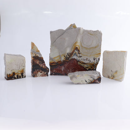 Dendrites Flat Set of 5 - Expert Wholesale and Supplier of Wholesale Crystals & Bulk Gemstones, ["Dendrite","Flats"]