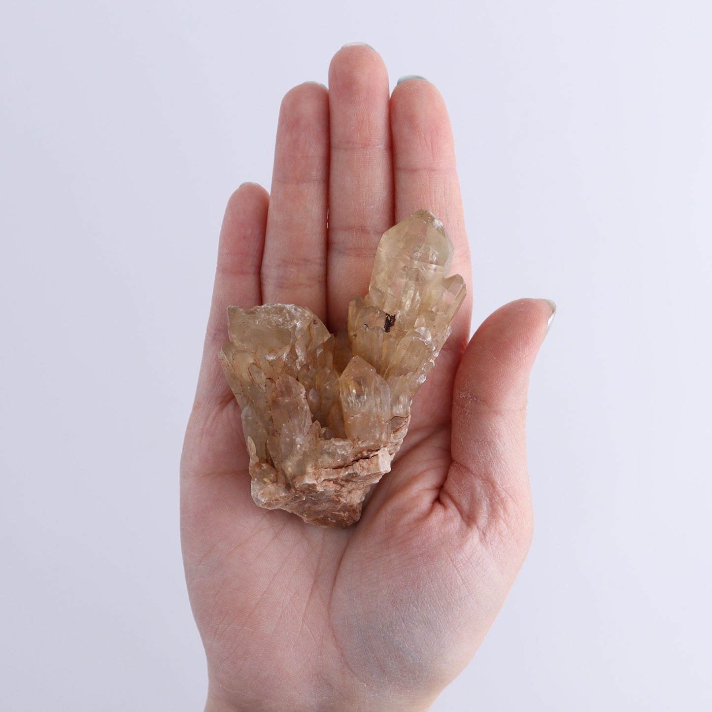 Congo Citrine Set of 6 - Expert Wholesale and Supplier of Wholesale Crystals & Bulk Gemstones, ["Citrine","Congo","Rough","Roughs"]
