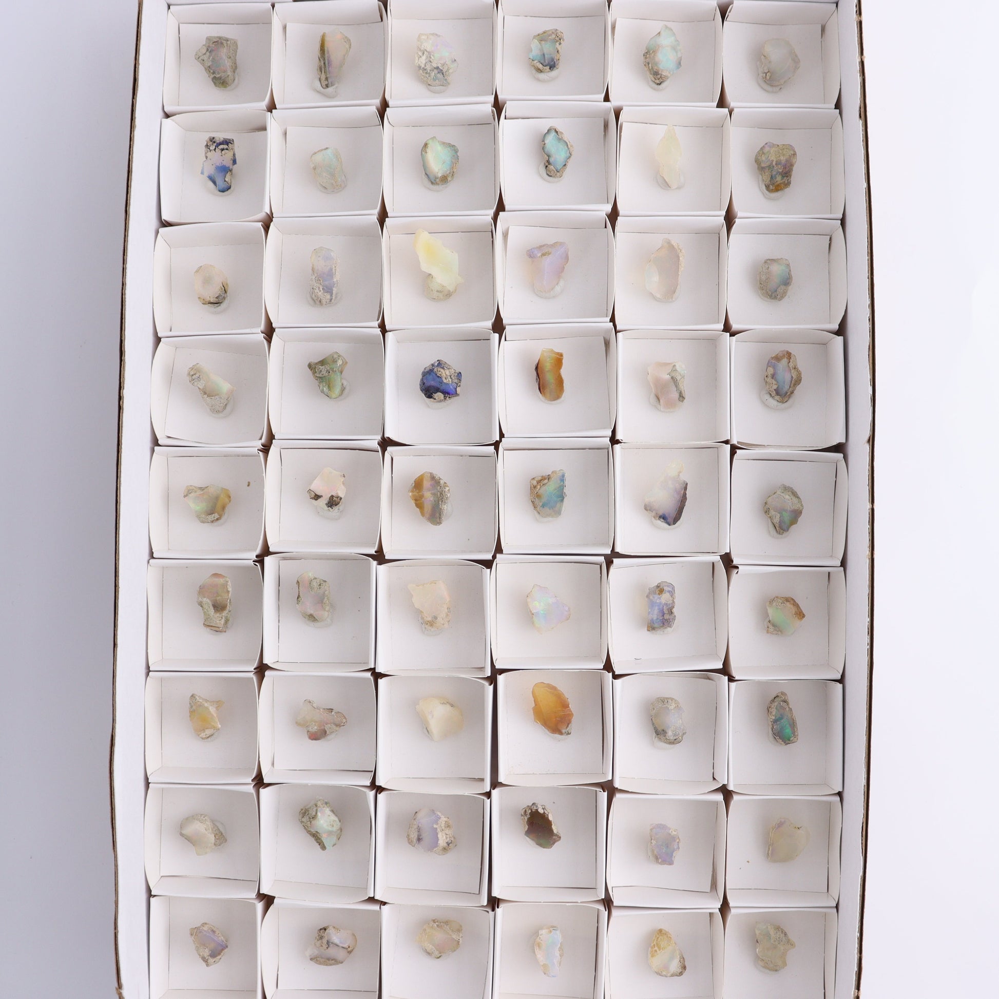Ethiopian Opal Set of 54 - Expert Wholesale and Supplier of Wholesale Crystals & Bulk Gemstones, ["Ethiopia","ethiopian opal","Opal"]
