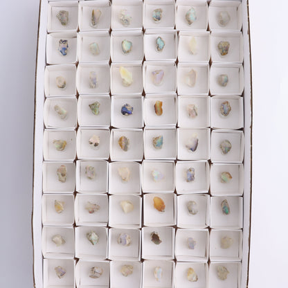 Ethiopian Opal Set of 54 - Expert Wholesale and Supplier of Wholesale Crystals & Bulk Gemstones, ["Ethiopia","ethiopian opal","Opal"]
