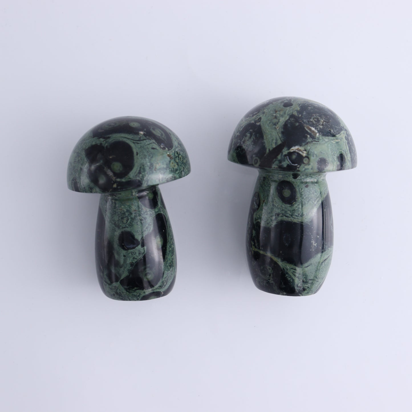Kambaba Jasper Mushrooms Flat of 15 - Expert Wholesale and Supplier of Wholesale Crystals & Bulk Gemstones, ["Kambaba Jasper","Madagascar","Mushrooms"]