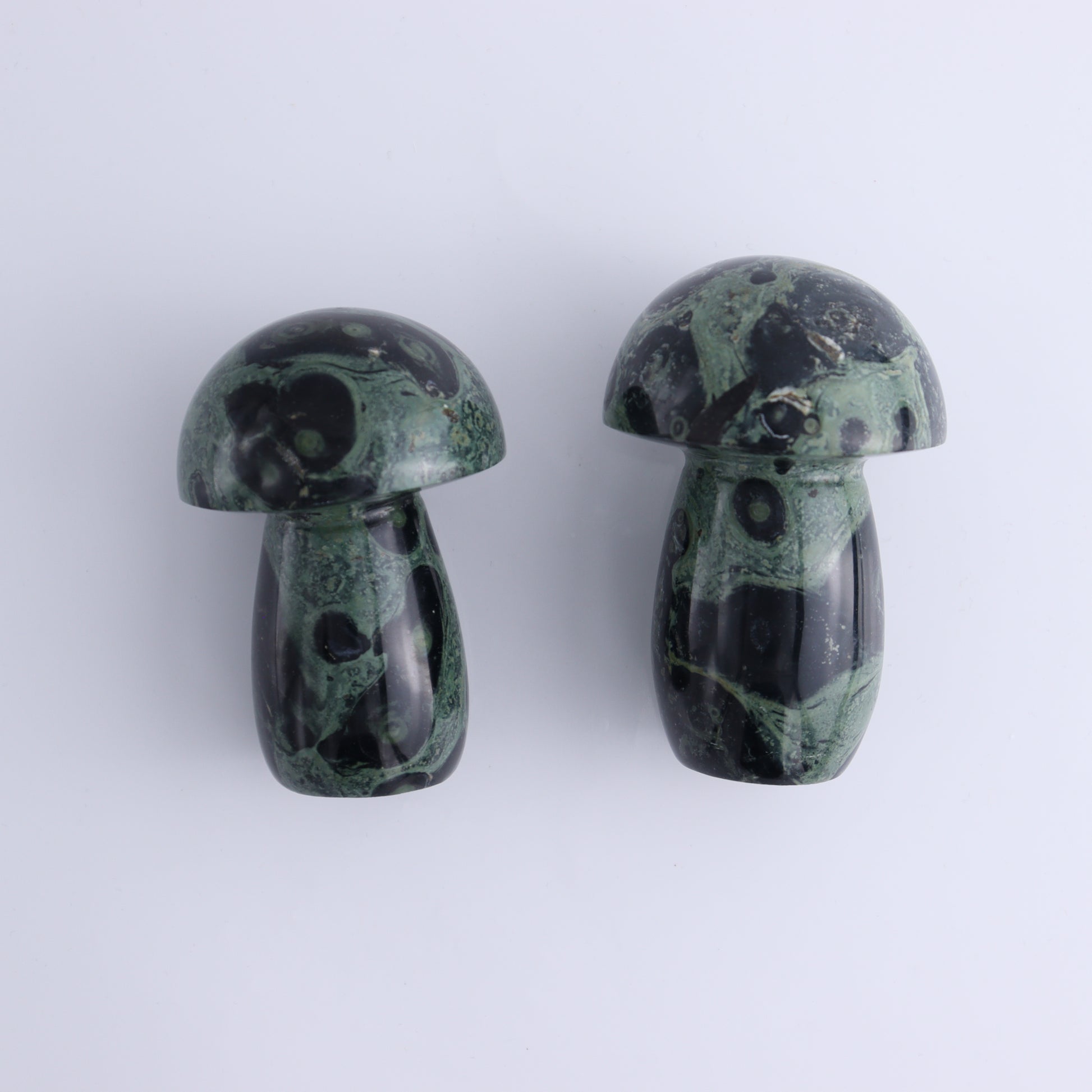 Kambaba Jasper Mushrooms Flat of 15 - Expert Wholesale and Supplier of Wholesale Crystals & Bulk Gemstones, ["Kambaba Jasper","Madagascar","Mushrooms"]
