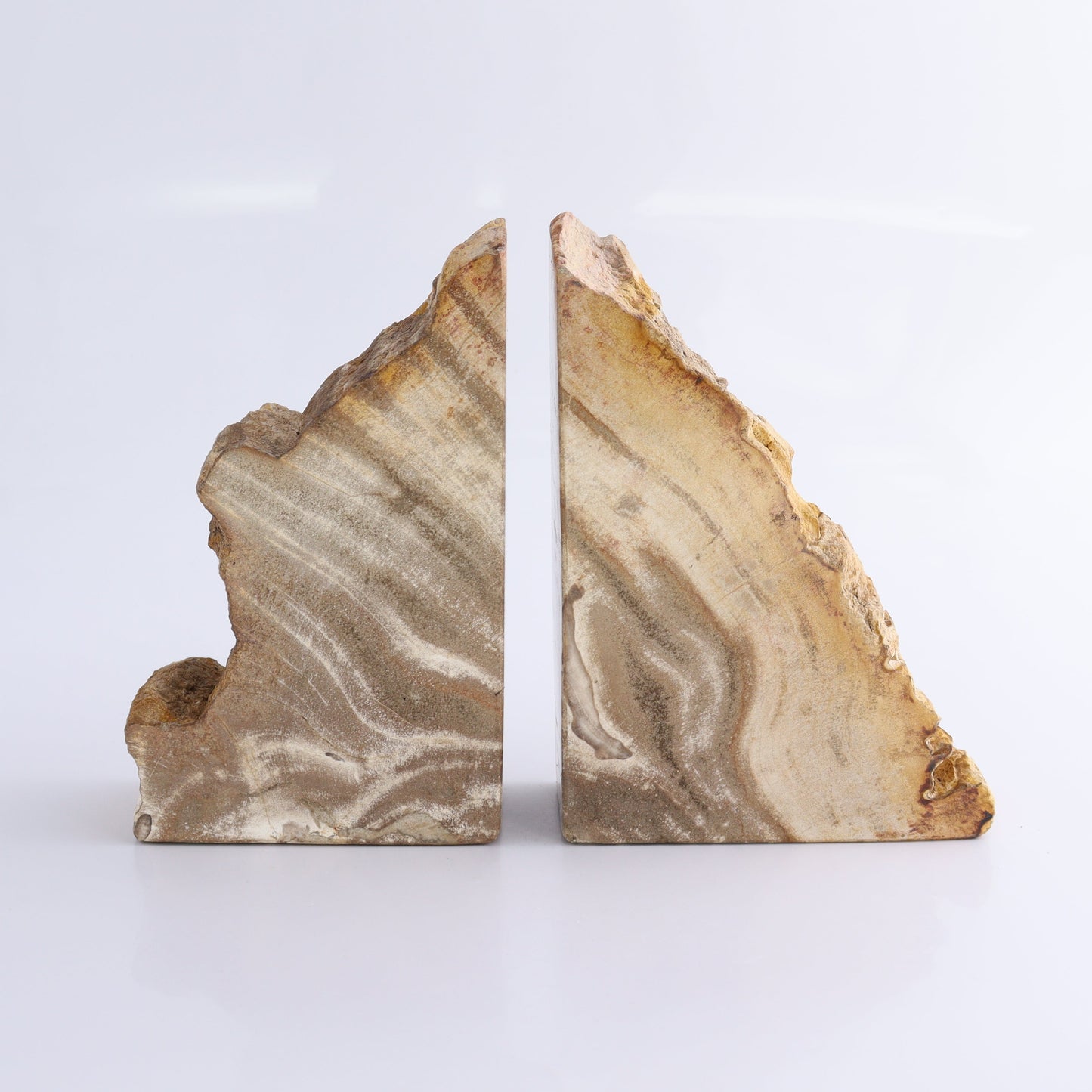 One Pair of Yellow/Brown Petrified Wood Bookends - Expert Wholesale and Supplier of Wholesale Crystals & Bulk Gemstones, ["Bookends","Indonesia","Petrified Wood"]