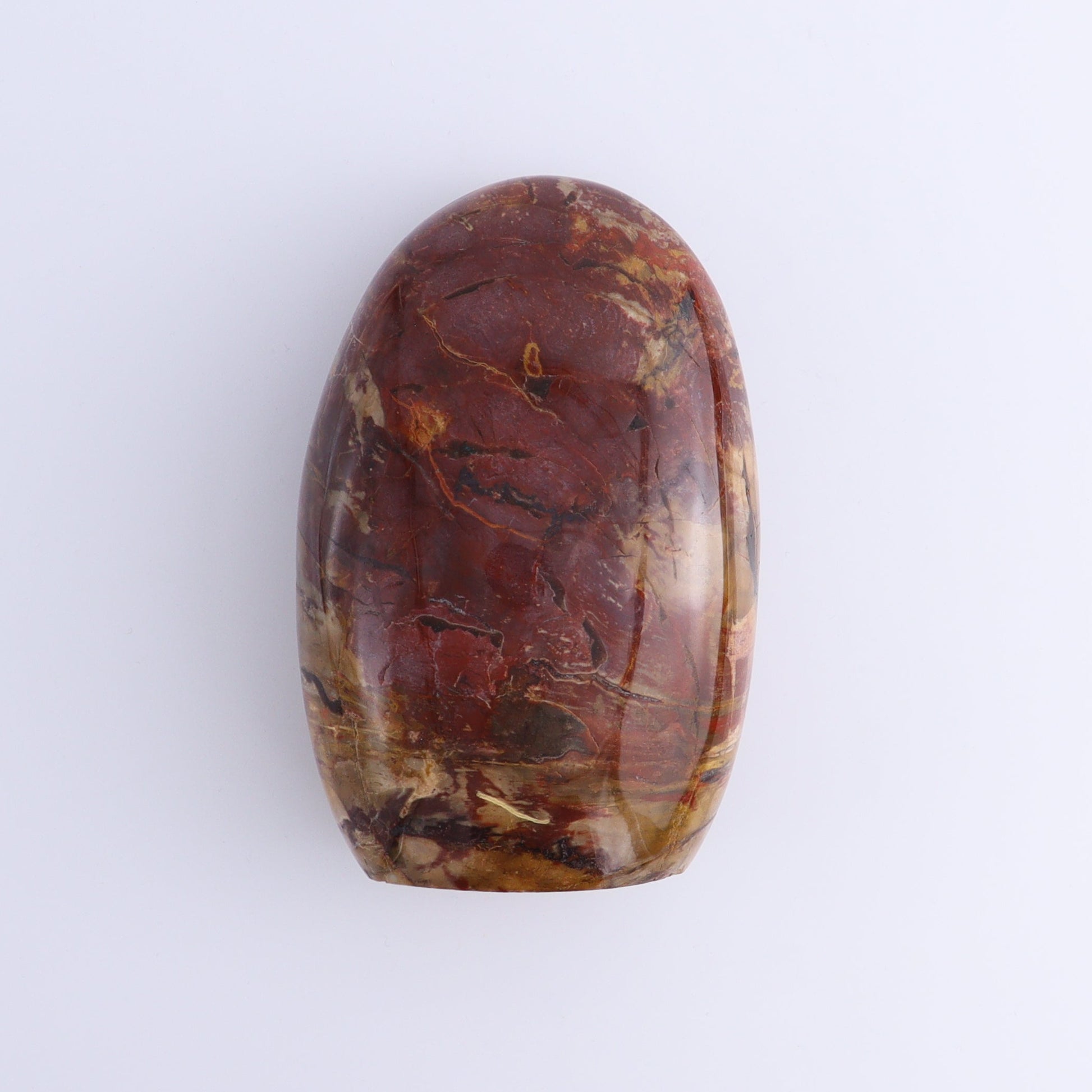 Petrified Wood Freeforms Set of 2 - Expert Wholesale and Supplier of Wholesale Crystals & Bulk Gemstones, ["Freeform","Freeforms","Madagascar","Petrified Wood"]