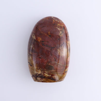 Petrified Wood Freeforms Set of 2 - Expert Wholesale and Supplier of Wholesale Crystals & Bulk Gemstones, ["Freeform","Freeforms","Madagascar","Petrified Wood"]